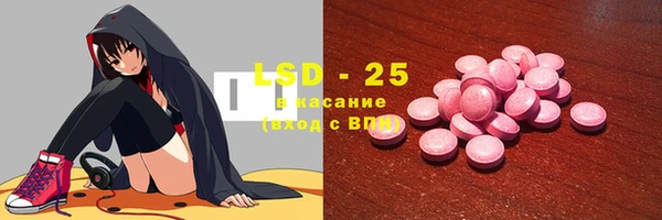 apvp Алзамай