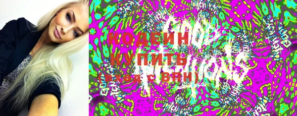 прущий лед Арсеньев