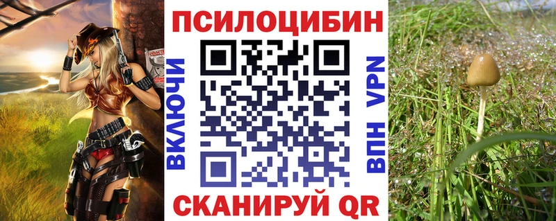 продажа наркотиков  Сусуман  Галлюциногенные грибы MAGIC MUSHROOMS 